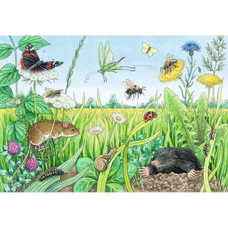 Ravensburger  Puzzle Tiere im Wald und auf der Wiese (2x12) 