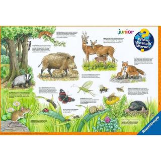 Ravensburger  Puzzle Tiere im Wald und auf der Wiese (2x12) 