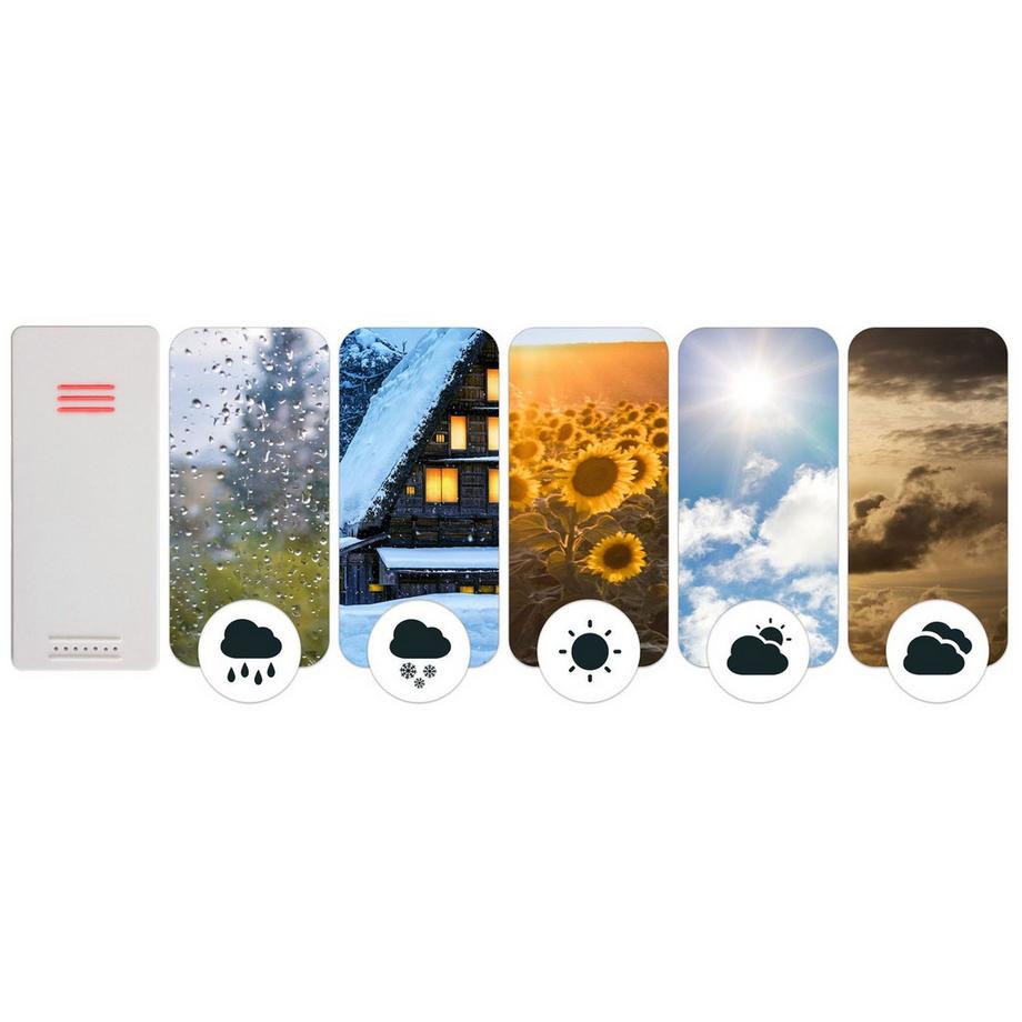 B2X  Capteur sans fil pour station météo Berdsen BD-921 blanc 