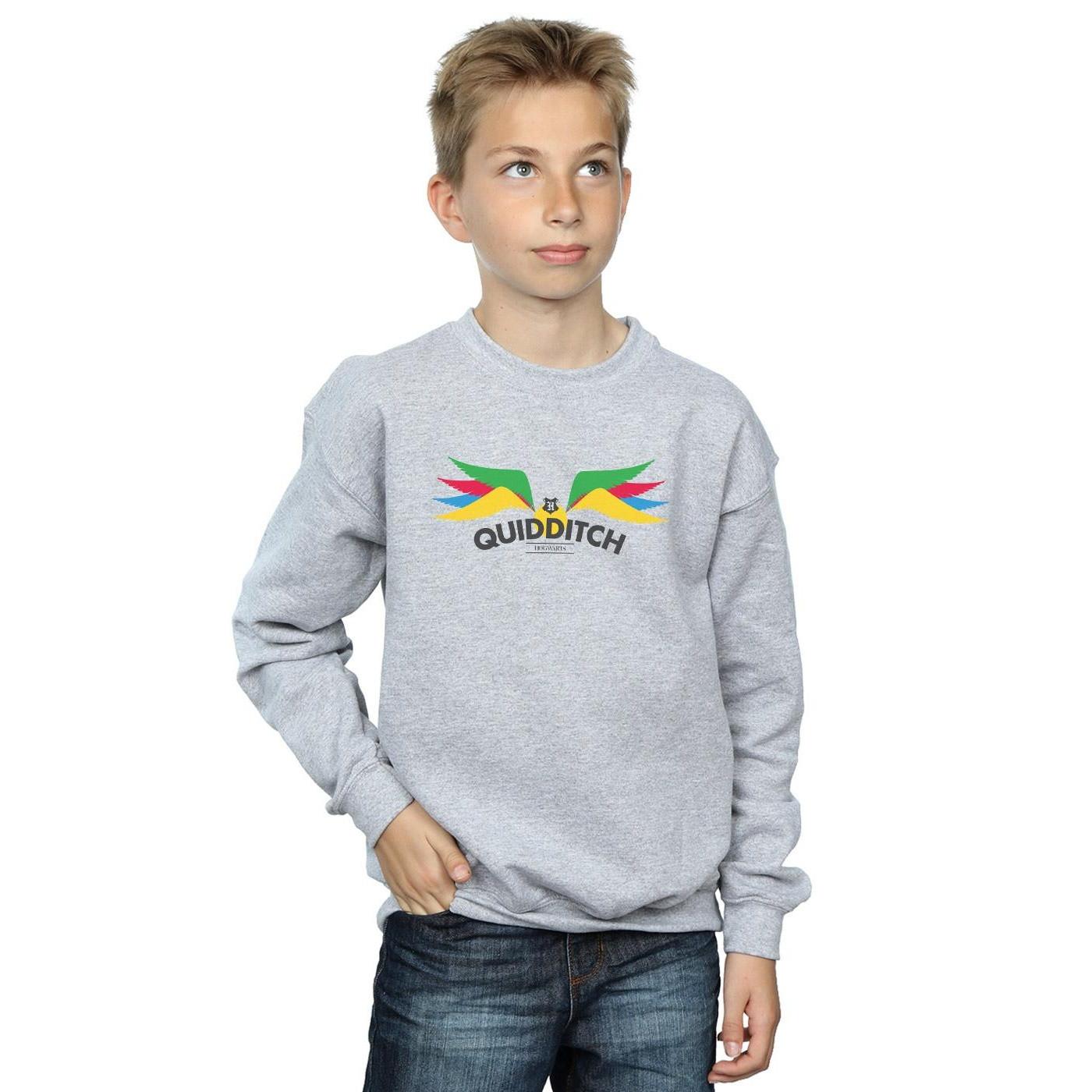 Harry Potter  Snitch Sweatshirt 