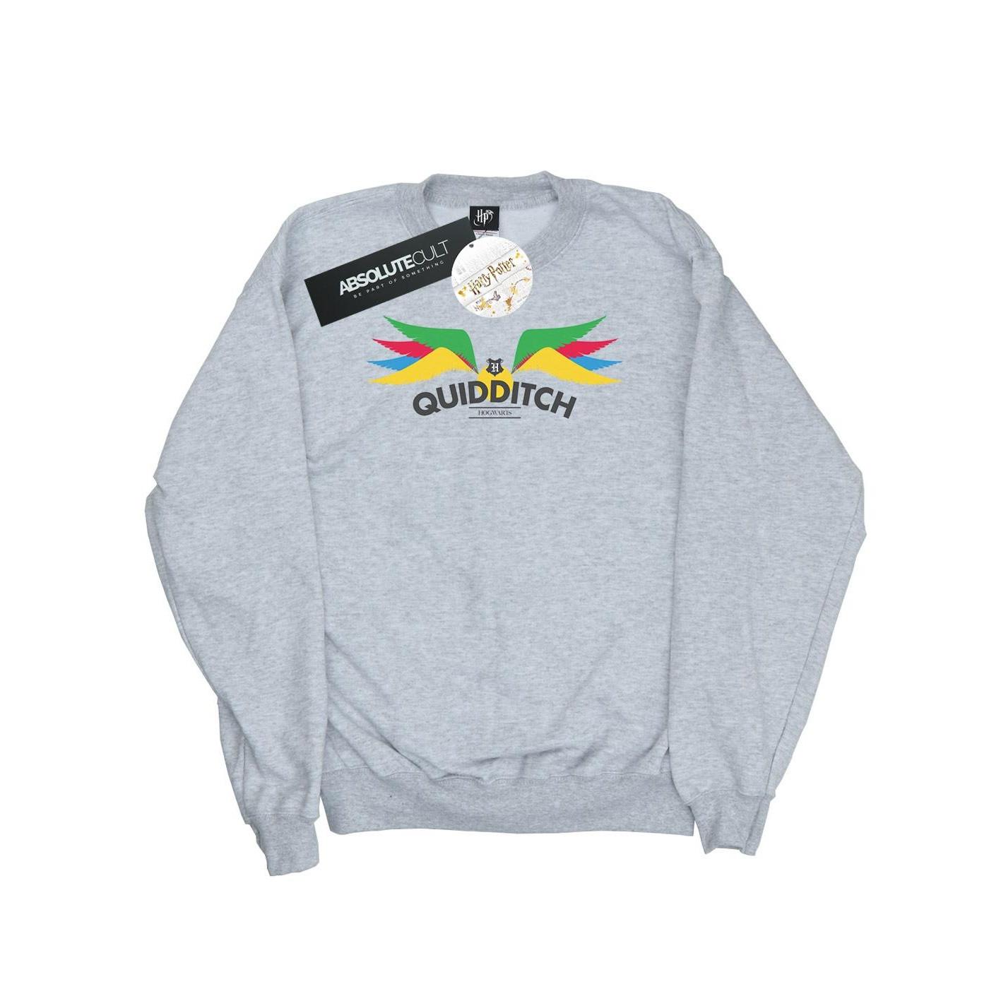 Harry Potter  Snitch Sweatshirt 