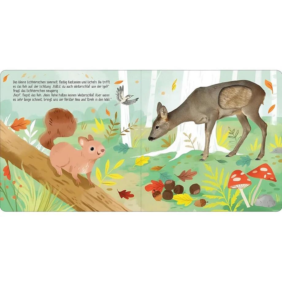 Hör mal, kleines Eichhörnchen!: Streicheln und hören Selbert, Kathryn (Illustrationen) Copertina rigida 