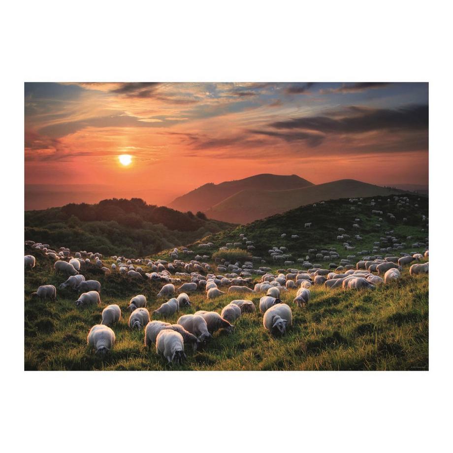 Heye  Puzzle Sheep and Volcanoes (1000Teile) 