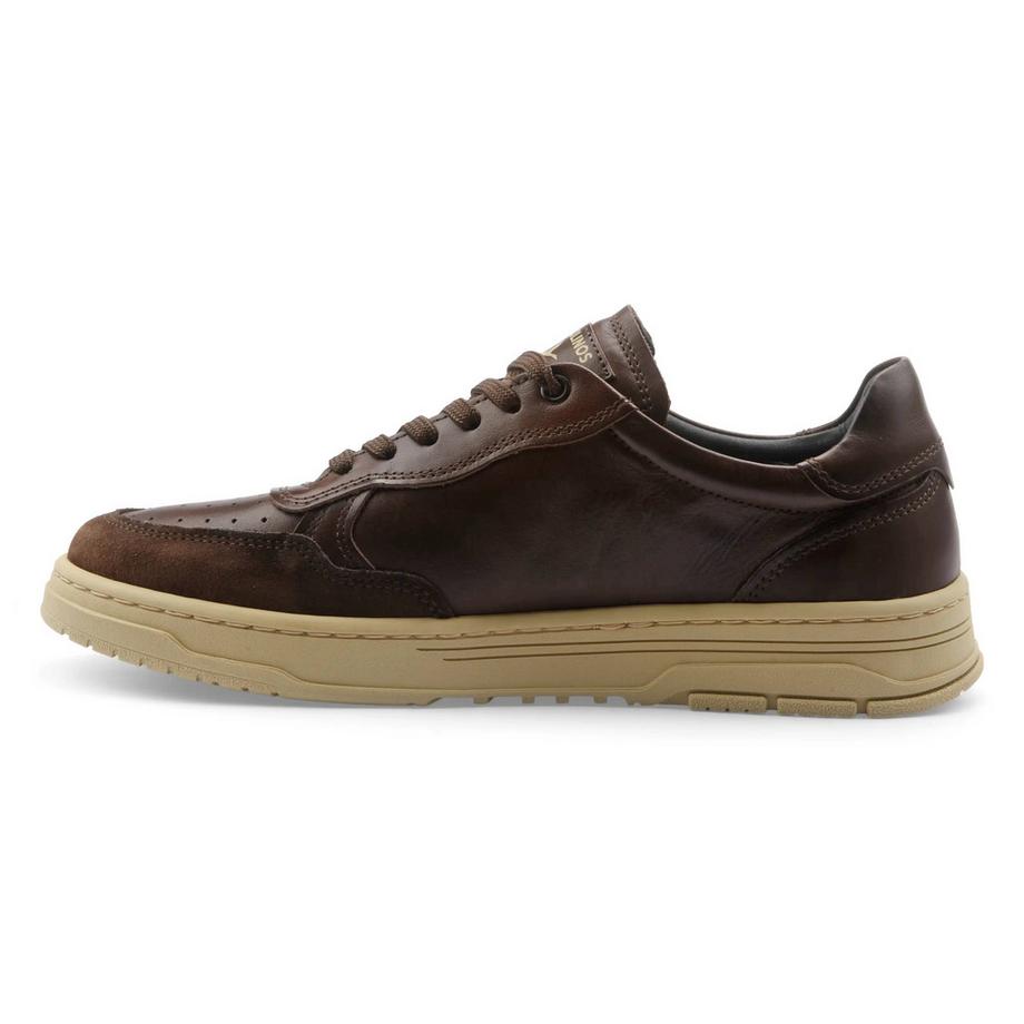 Pikolinos Salinas Low Top Sneaker  