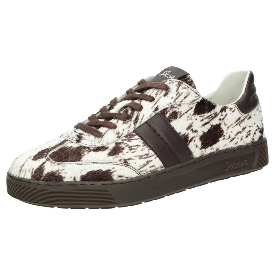 Sneaker Tedroso-DA-717