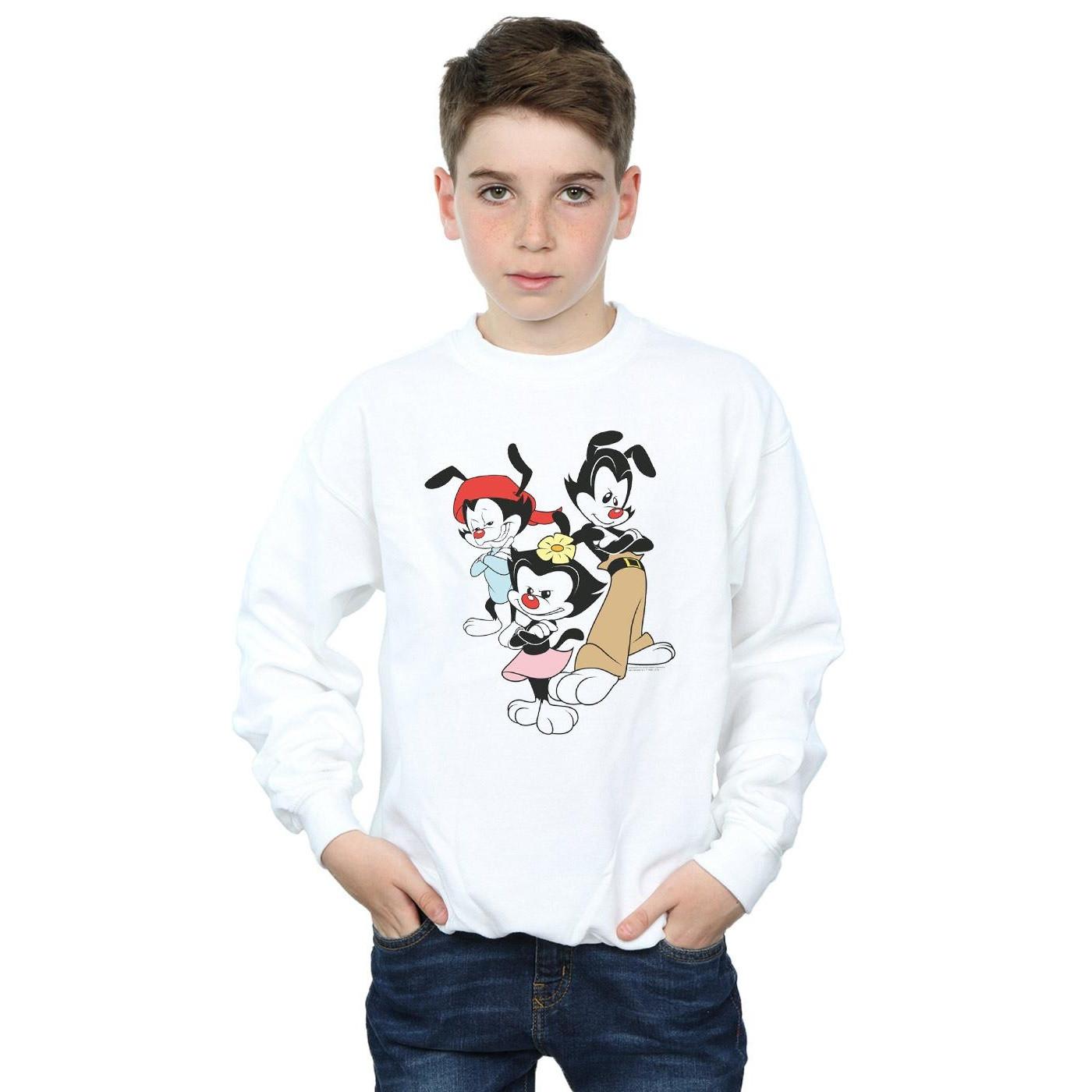 Animaniacs  Sweatshirt 