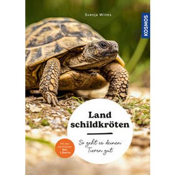 Landschildkröten