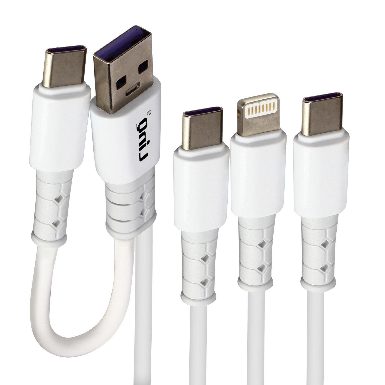 Avizar  5-in-1 Kabel Doppelter USB/USB-C Eingang 