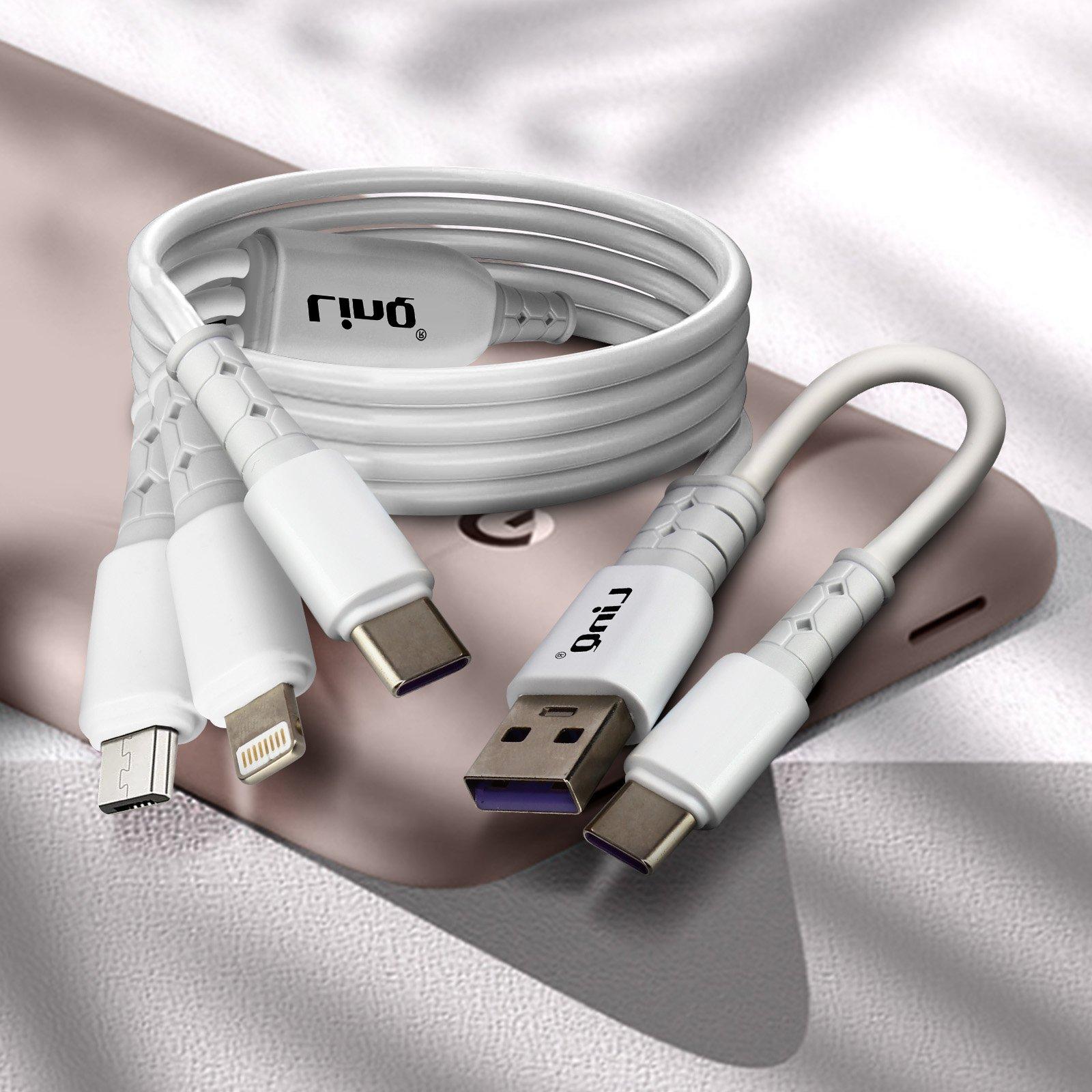 Avizar  5-in-1 Kabel Doppelter USB/USB-C Eingang 