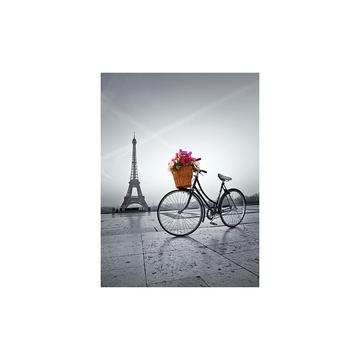 Puzzle Romantic Paris (500Teile)