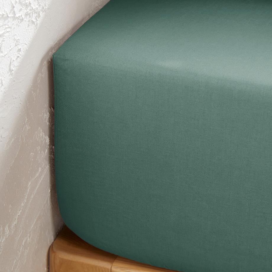 La Redoute Intérieurs Scenario Drap Housse Uni en Polycoton  