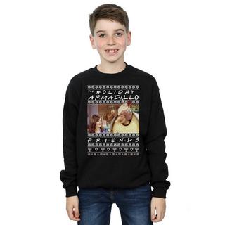 Friends  Holiday Armadillo Sweatshirt 