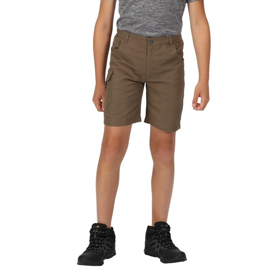 Regatta  Short sorcer 