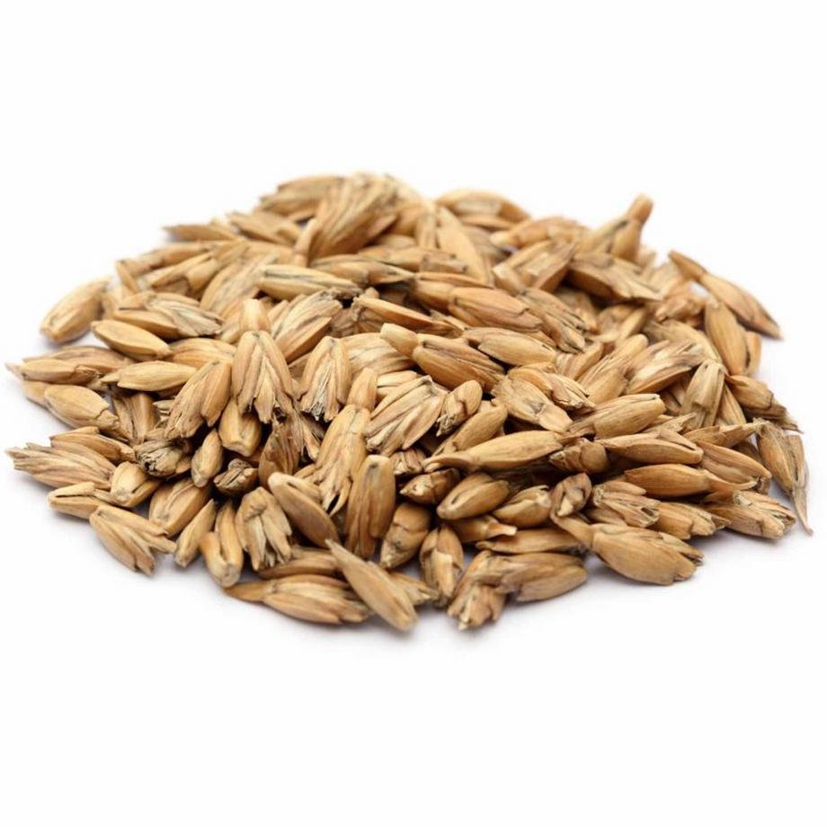 DoYourSports  Yogakissen Bolster Paravati 