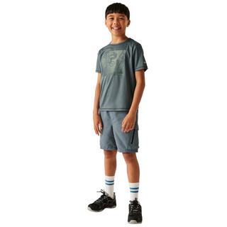 Regatta  Alvarado IX TShirt 