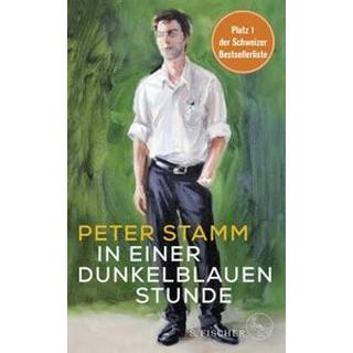 In einer dunkelblauen Stunde Stamm, Peter Gebundene Ausgabe 