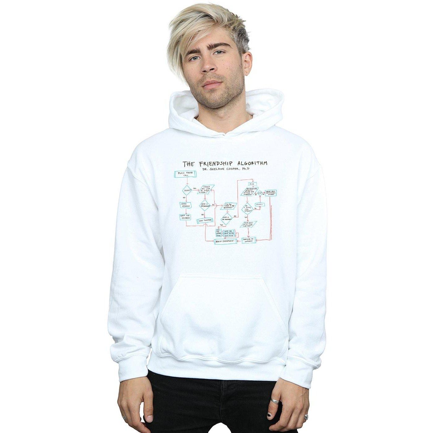 The Big Bang Theory  Friendship Algorithm Kapuzenpullover 