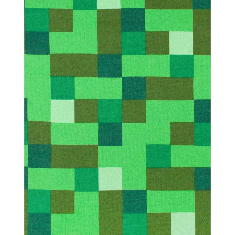 MINECRAFT  Veste à capuche 