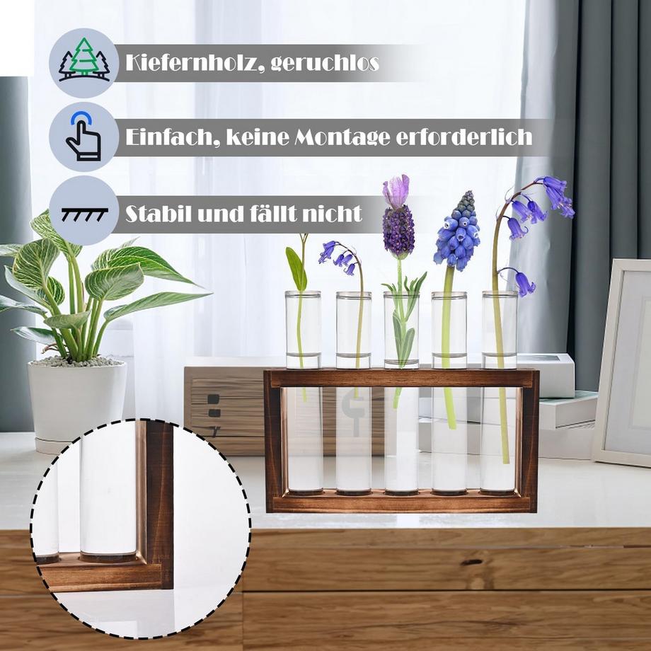 Alopini Reagenzgläser Blumenvase - Kleine Reagenzglasvasen mit Ständer Holz  