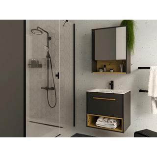 Vente-unique Badezimmer Spiegelschrank - Anthrazit - 60 cm - YANGRA  
