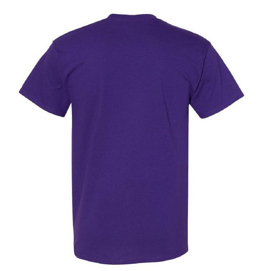 Gildan T-Shirt Lot de 5  