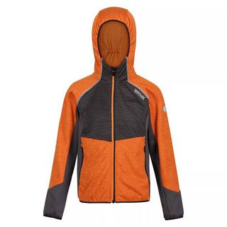 Regatta  Veste polaire PRENTON Enfant 