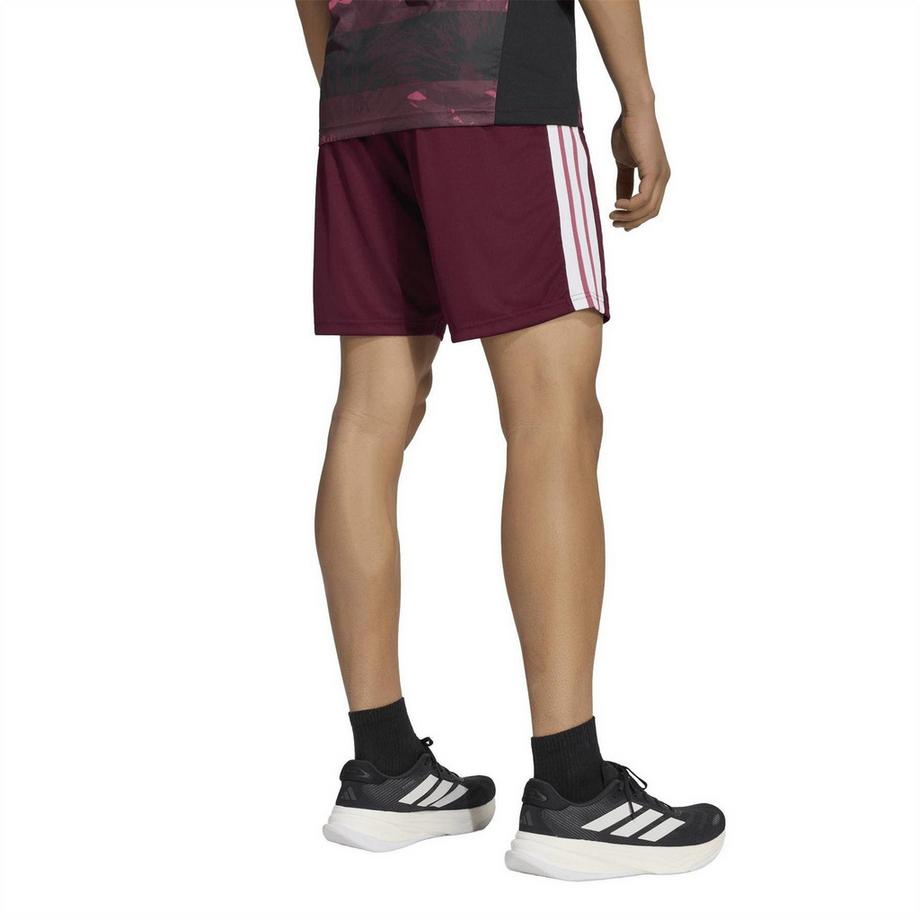 adidas  All Blacks Pantaloncini Felce 