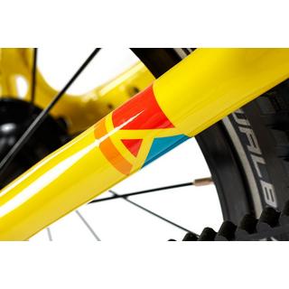 ACADEMY  " Grade 3 Belt 