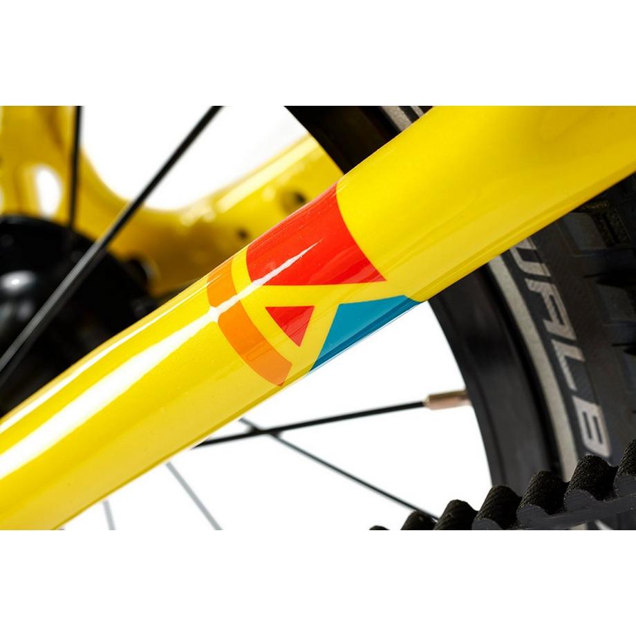 ACADEMY  " Grade 3 Belt 