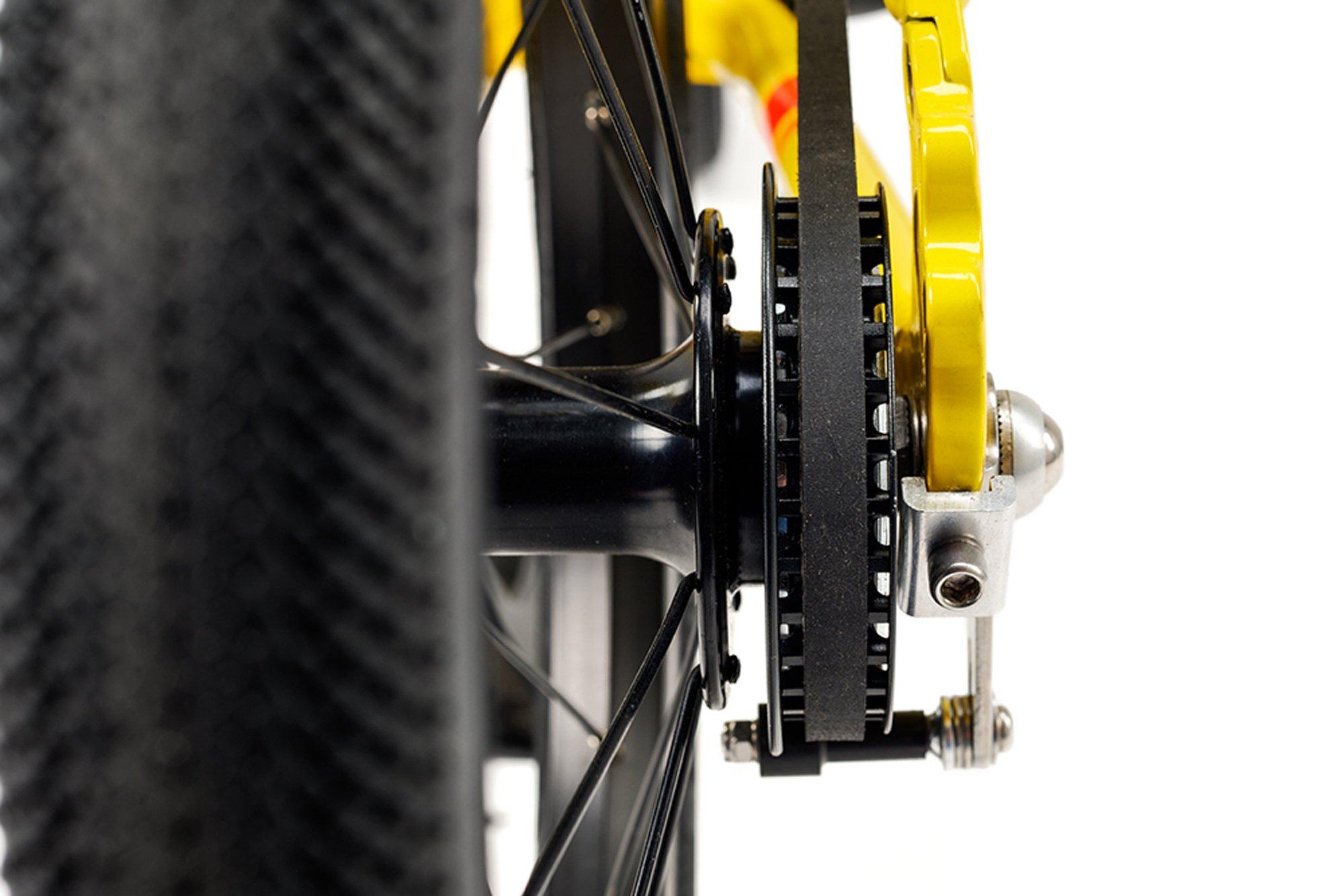 ACADEMY  " Grade 3 Belt 