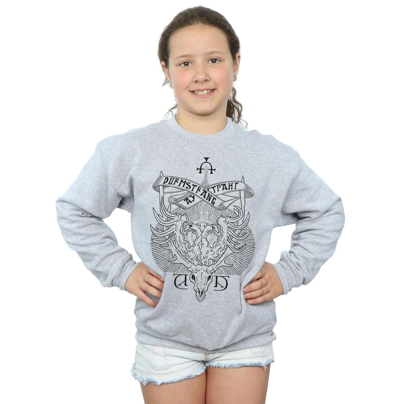 HARRY-POTTER  Durmstrang Institute Sweatshirt 