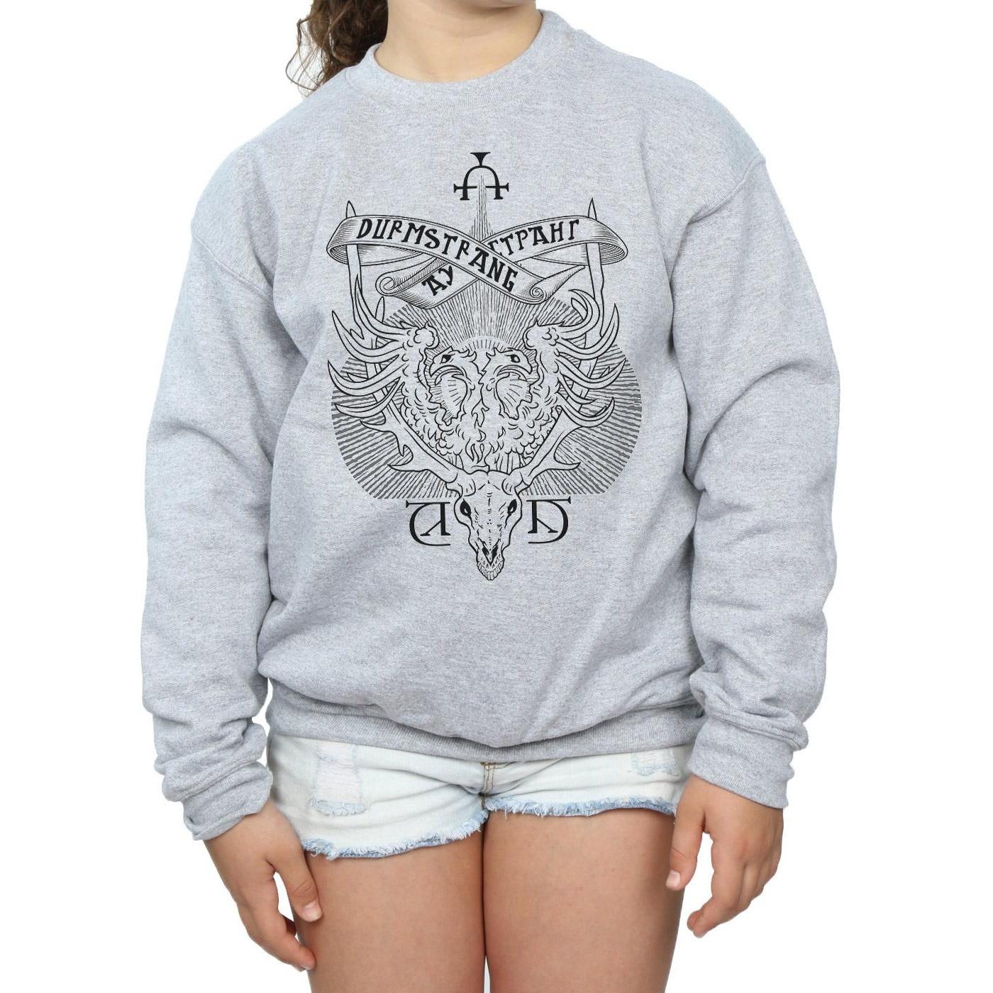 HARRY-POTTER  Durmstrang Institute Sweatshirt 