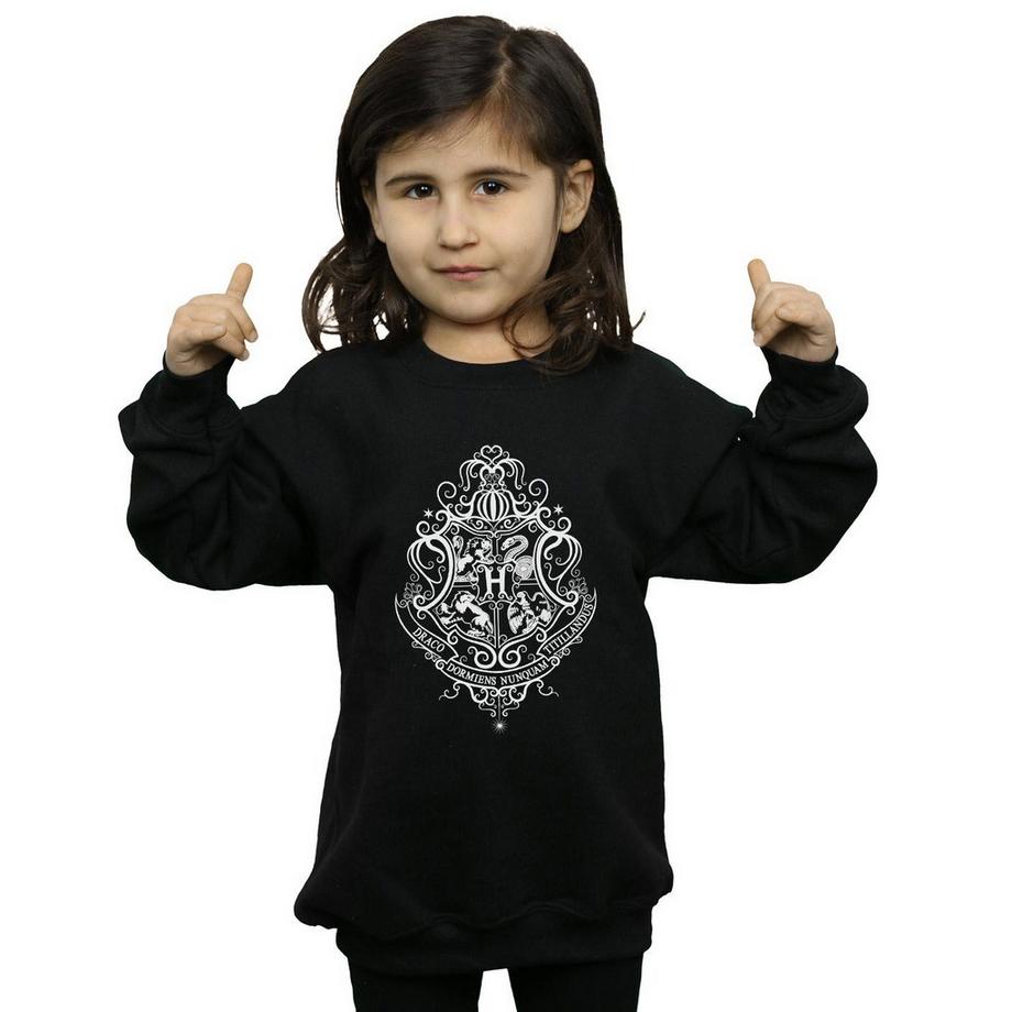 HARRY-POTTER  Sweat HOGWARTS DRACO DORMIENS 