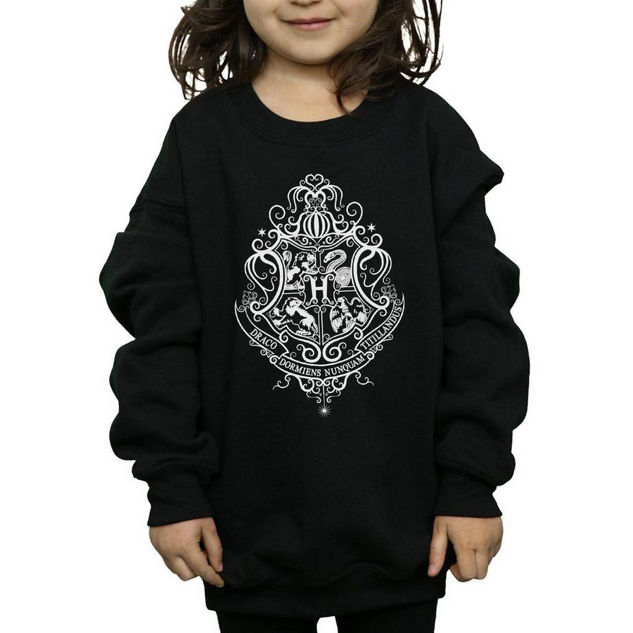 HARRY-POTTER  Sweat HOGWARTS DRACO DORMIENS 
