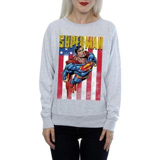 DC COMICS  Sweatshirt 