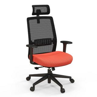 Northio Chaise de bureau ergonomique avec dossier, support lombaire et appui-tête 3D confortable jusqu'à 180 kg  