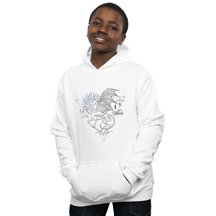 Harry Potter  Sweat à capuche 