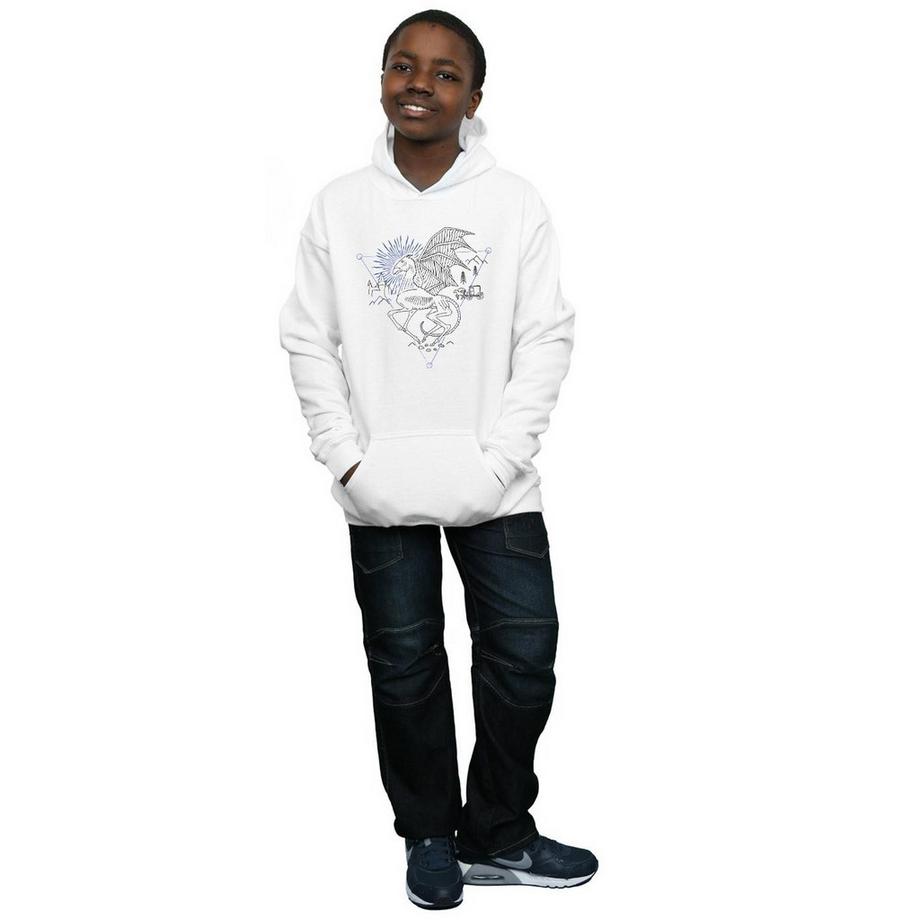 Harry Potter  Sweat à capuche 