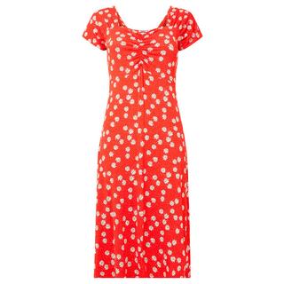 Joe Browns  Robe Jersey Imprimé Marguerites 