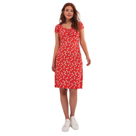 Joe Browns  Robe Jersey Imprimé Marguerites 