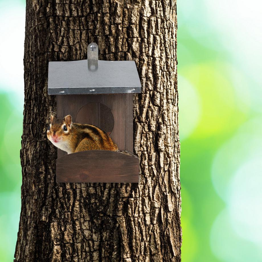 B2X  Eichhörnchenfutterhaus Metalldach 