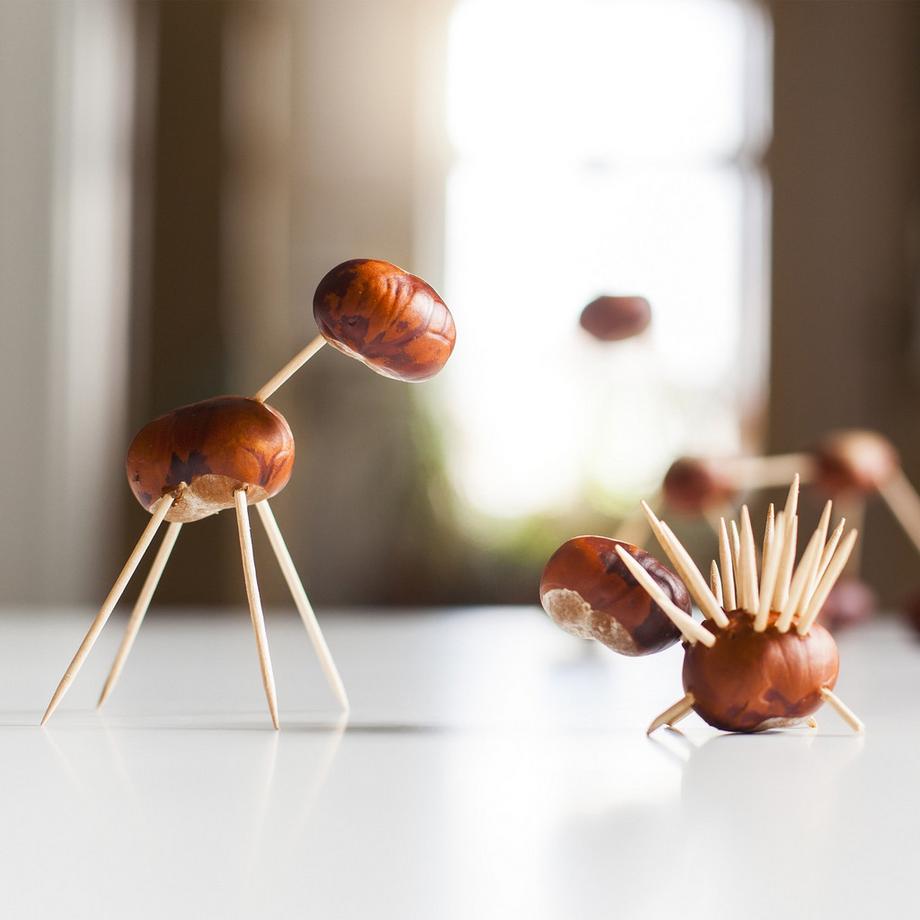 B2X  Holzzahnstocher 5.000er Set 