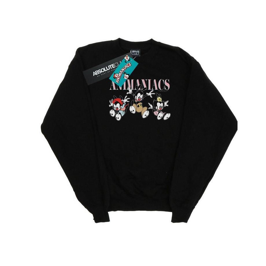 Animaniacs Rundhals Sweatshirt  