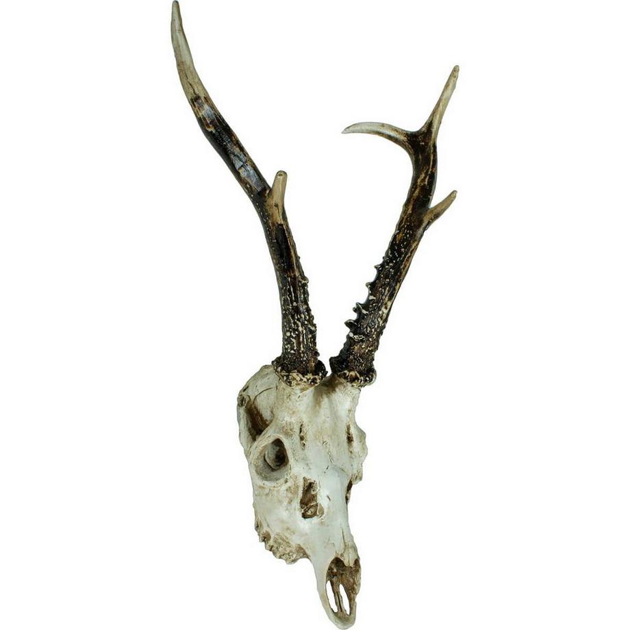mutoni Décoration murale bois de cerf naturel  
