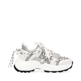 STEVE MADDEN  Sneakers Tazmania 