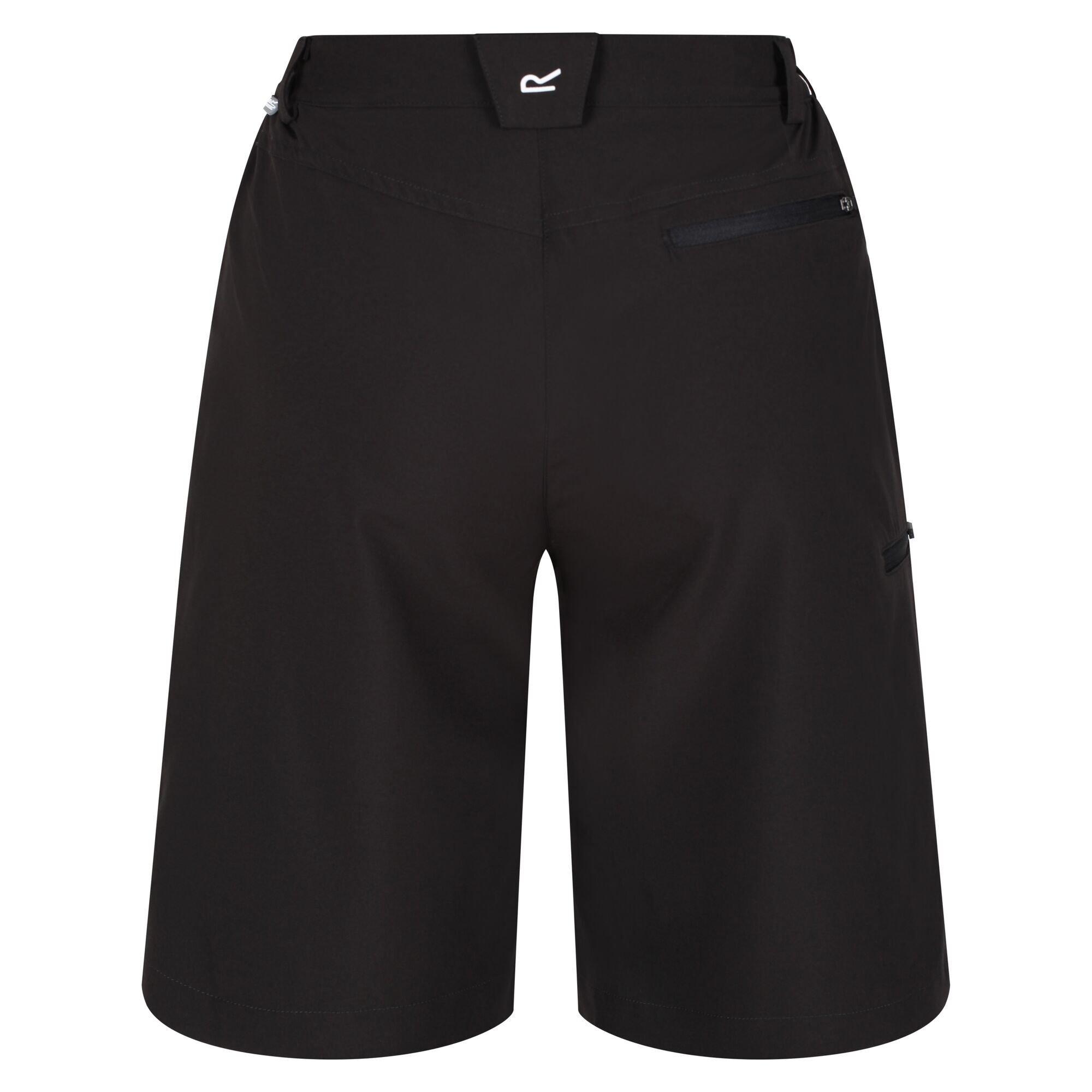 Regatta  Xert Shorts 