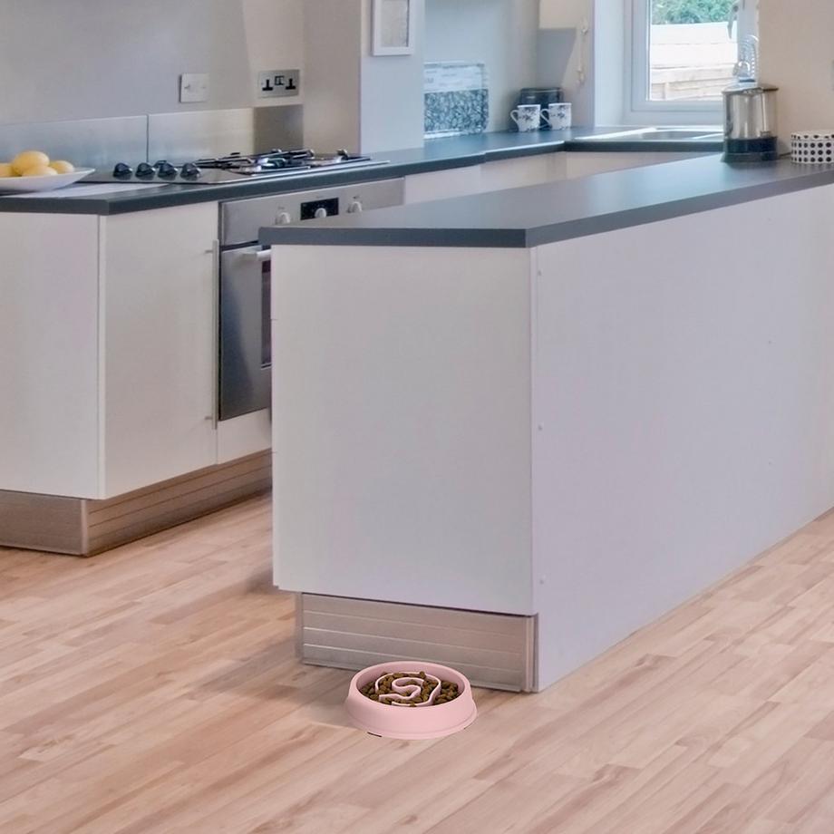 B2X  Anti-Schlingschüssel 650 ml 