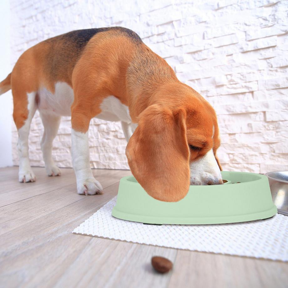 B2X  Anti-Schlingschüssel 650 ml 