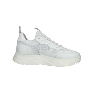 STEVE MADDEN  Sneaker Pitty SM11001024 