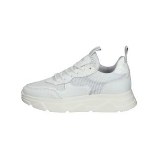 STEVE MADDEN  Sneaker Pitty SM11001024 